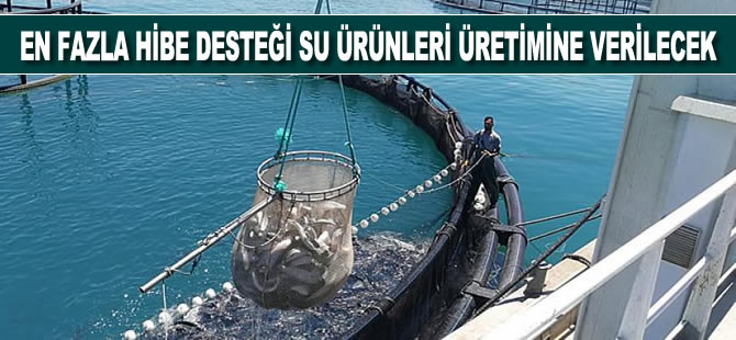 En fazla hibe desteği su ürünleri üretimine verilecek