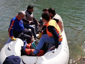 Siirt'te baraj suyu yükseldi, mahsur kalan kediler kurtarıldı