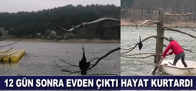 12 gün sonra evden çıktı, hayat kurtardı