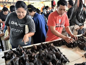 Vuhan'da balık pazarı yeniden açıldı iddia tepki
