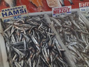 Balık fiyatlarında yükseliş olmamasına rağmen talep azaldı