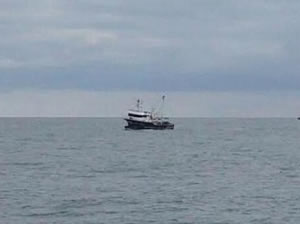Bursa Gemlik'te trol teknesi yakalandı
