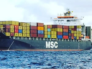 MSC yeni esnek kargo sistemi sunuyor