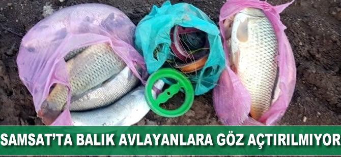 Samsat'ta balık avlayanlara göz açtırılmıyor