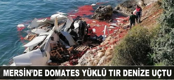 Mersin'de domates yüklü tır denize uçtu