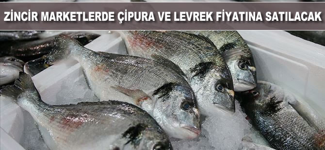 Zincir marketlerde çipura ve levrek maliyetine satılacak