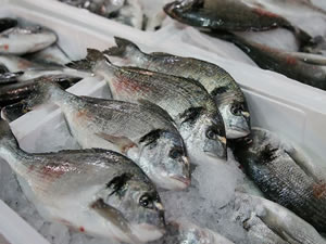 Zincir marketlerde çipura ve levrek maliyetine satılacak