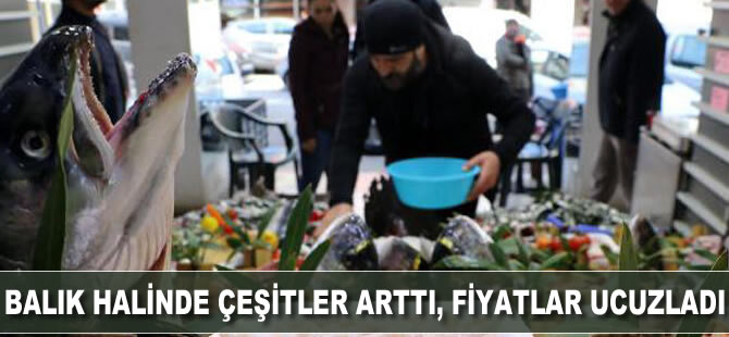 Balık halinde çeşit arttı, fiyat ucuzladı