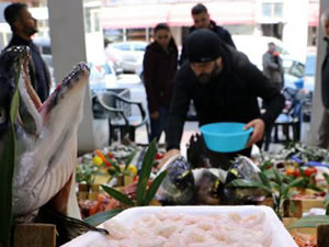 Balık halinde çeşit arttı, fiyat ucuzladı