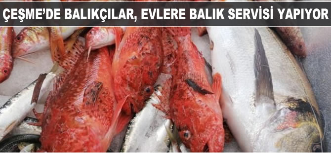 Çeşme'de balıkçılar, evlere balık servisi yapıyor