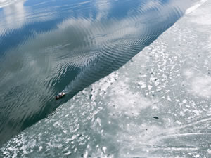 Nazik Gölü’nün buzları çözüldü