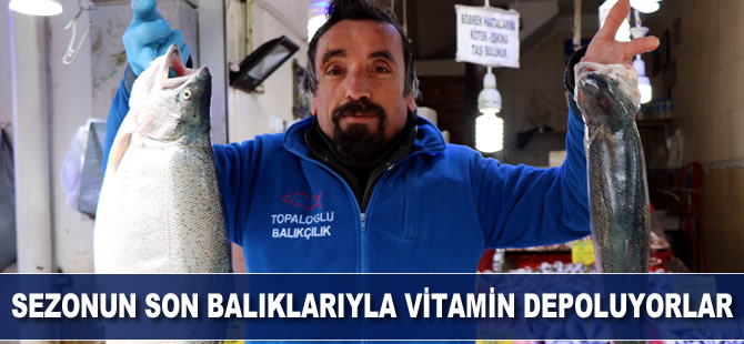 Sezonun son balıklarıyla protein depoluyorlar