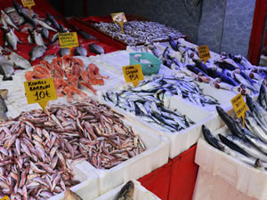 Sezonun son balıklarıyla protein depoluyorlar