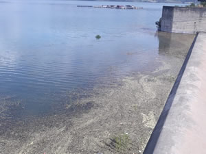 Kozan Barajı'ndaki doluluk oranı yüzde 100'e yaklaştı