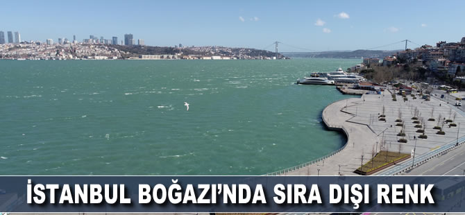 İstanbul Boğazı’nda sıra dışı renk