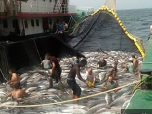 Moritanya'ya giden bin balıkçının durumu gayet iyi