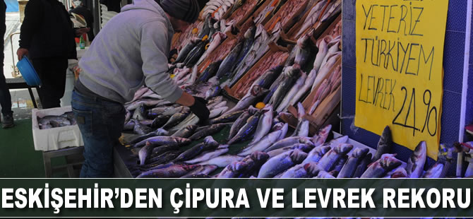 Eskişehir’den levrek ve çipura rekoru