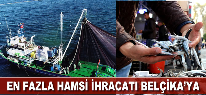 En fazla hamsi ihracatı Belçika'ya