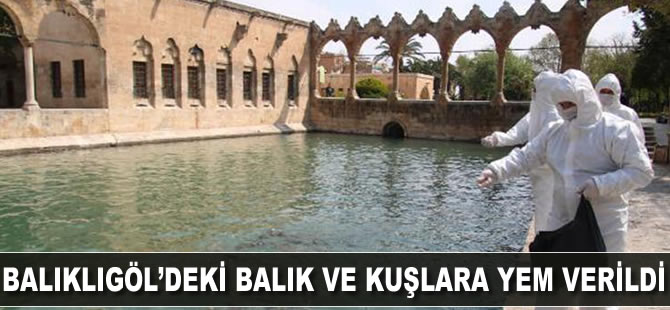 Balıklıgöl'deki balık ve kuşlara yem verildi