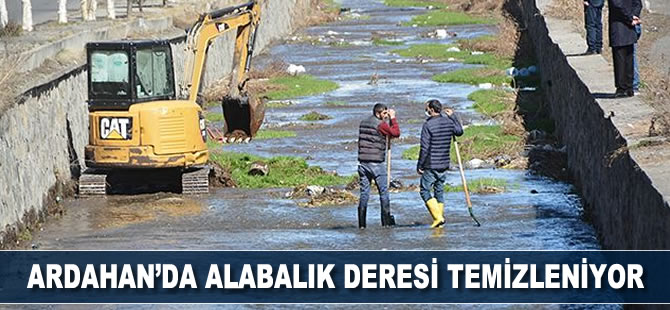 Ardahan'da Alabalık Deresi temizleniyor