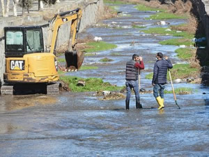 Ardahan'da Alabalık Deresi temizleniyor
