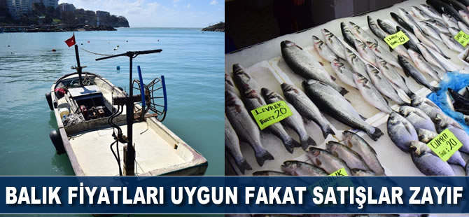 Balık fiyatları uygun fakat satışlar zayıf