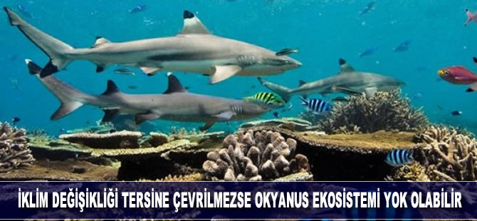 İklim değişikliği tersine çevrilmezse okyanus ekosistemi aniden çökebilir