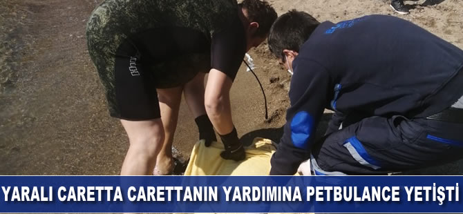 Yaralı caretta carettanın yardımına Petbulance ekibi yetişti