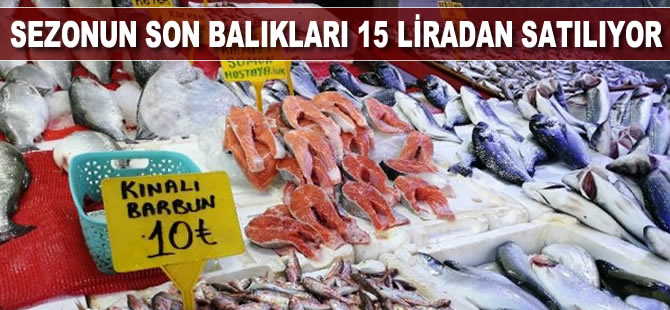 Sezonun son balıkları 15 liradan satılıyor