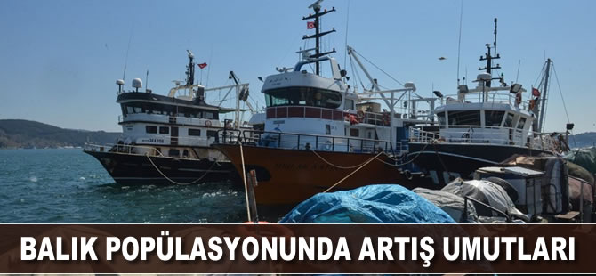 Balık popülasyonunda artış umutları