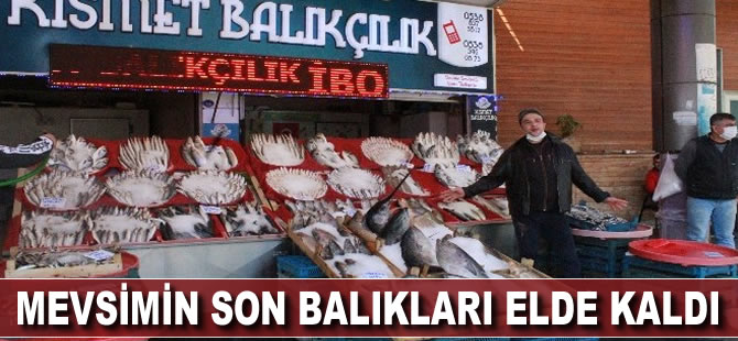 Mevsimin son balıkları elde kaldı