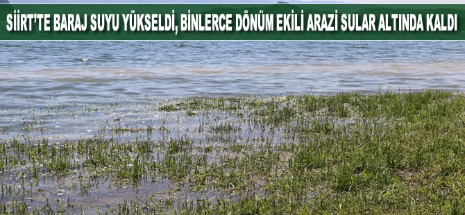 Siirt’te baraj suyu yükseldi binlerce dönüm ekili arazi sular altında kaldı