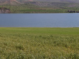 Siirt’te baraj suyu yükseldi binlerce dönüm ekili arazi sular altında kaldı
