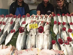 Tarihin en kötü balık sezonunu yaşandı