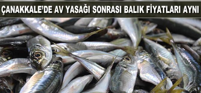 Çanakkale´de, av yasağı sonrası balık fiyatları aynı