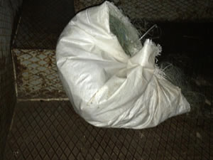 Elazığ'da kaçak balık avcılarına korona cezası