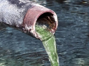 Virüs atık sularda canlılığını sürdürebilir