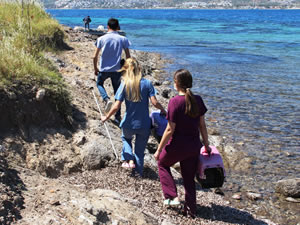 'Issız adada köpek var' ihbarı ekipleri seferber etti