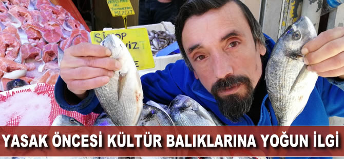 Yasak öncesi kültür balıklarına yoğun ilgi