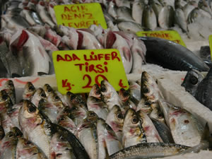 Koronavirüse rağmen balık hali esnafı satışlardan memnun