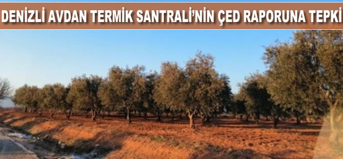 Denizli Avdan Termik Santrali'nin ÇED raporuna tepki