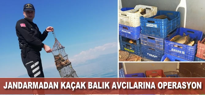 Jandarmadan kaçak balık avcılarına operasyon