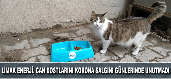 Limak Enerji, can dostlarını korona günlerinde unutmadı