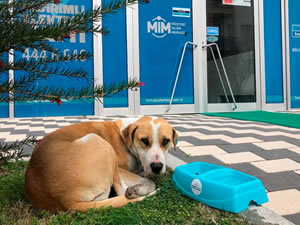 Limak Enerji, can dostlarını korona günlerinde unutmadı