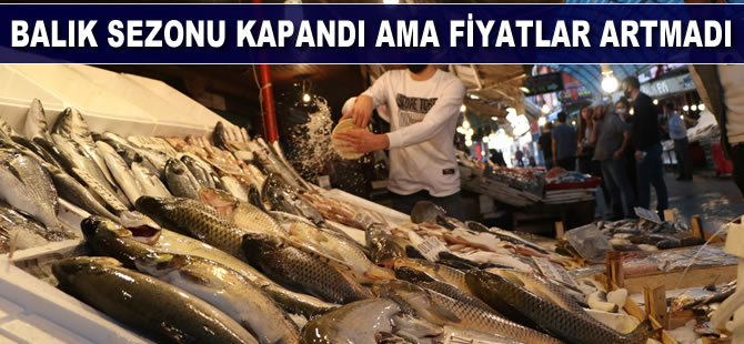 Balık sezonu kapandı ama fiyatlar artmadı