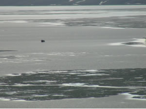 Ahlat’taki Nazik Gölü 'kesin korunacak hassas alan' ilan edildi