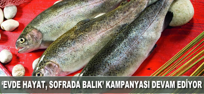"Evde hayat, sofrada balık" kampanyası devam ediyor