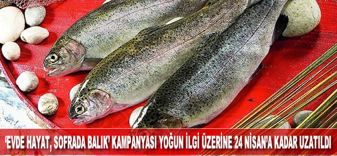 'Evde hayat, sofrada balık' kampanyası yoğun ilgi üzerine 24 Nisan'a kadar uzatıldı