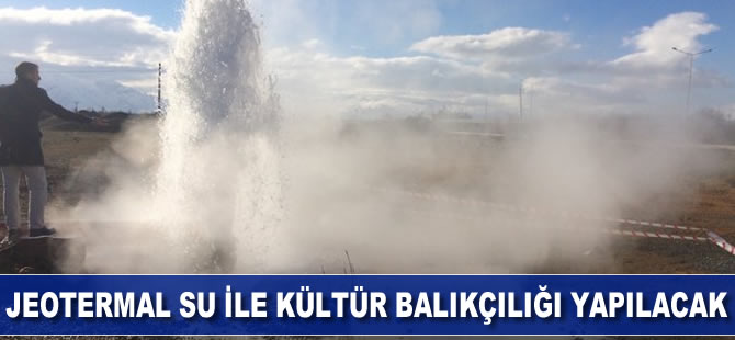 Jeotermal su ile kültür balıkçılığı yapılacak