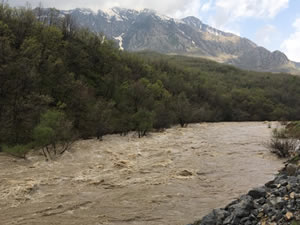 Şırnak'ta taşan derede balık yakaladılar